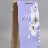 Пакет подарочный ламинированный &laquo;Счастье&raquo;, 33&times;42.5&times;10 см