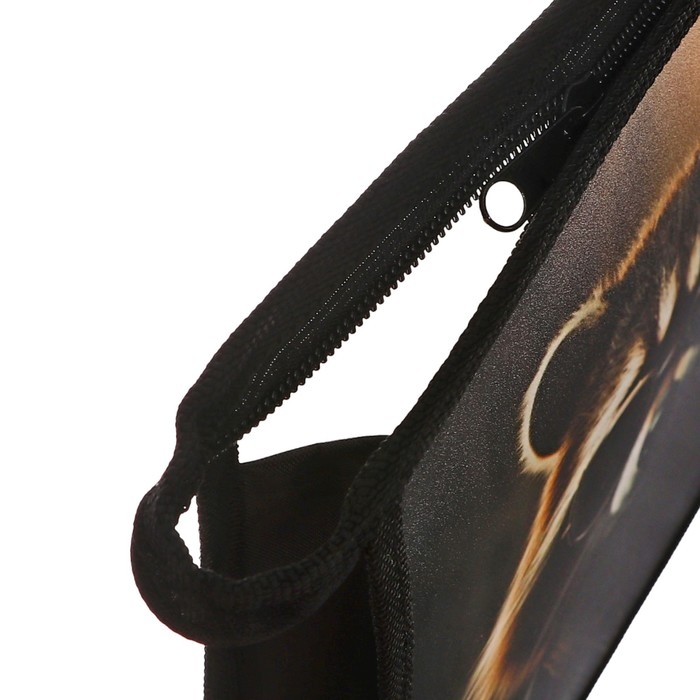 Папка для тетрадей А4, 325 х 230 х 55 мм, молния сверху, пластиковая, ПМ-А4-29 Calligrata Папка для тетрадей А4, 325 х 230 х 55 мм, молния сверху, пластиковая, ПМ-А4-29 Calligrata "Енот"