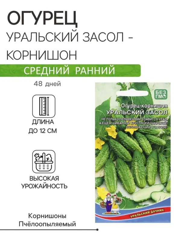 Семена Огурец "Уральский засол - корнишон", 12 шт