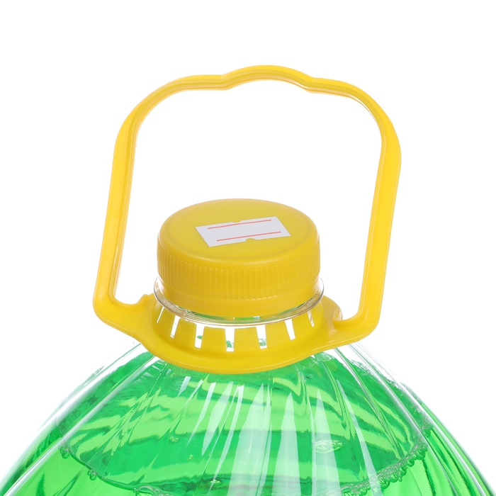 Омыватель стекол Grand Caratt летний, Антимуха, Яблоко, 5 л Омыватель стекол Grand Caratt летний, Антимуха, Яблоко, 5 л