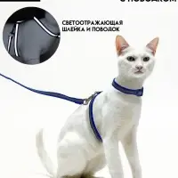 Комплект для кошек, шлейка 21-35 см, ширина 1 см, поводок 120 см, светоотражающий, синий
