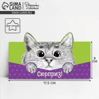 Конверт для денег фигурный &laquo;Кот&raquo;, 17.5&times;8 см