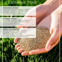 Газонная травосмесь &laquo;Быстрый газон&raquo;, 20 кг