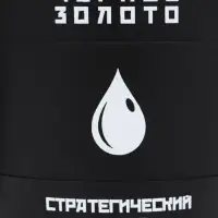 Термокружка, 450 мл, &laquo;Черное золото&raquo;, сохраняет тепло 2 ч, 12.5&times;10.5 см