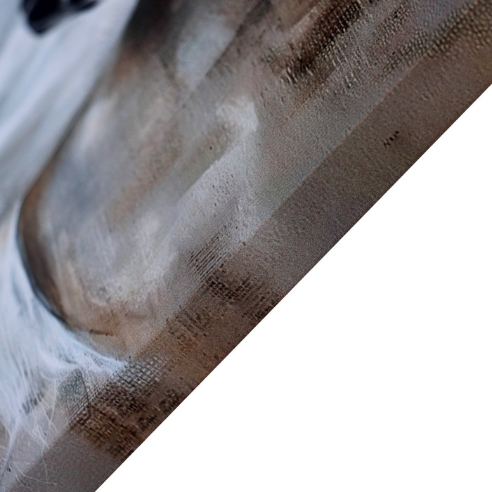 Картина на холсте Картина на холсте "Белый конь" 50*50 см