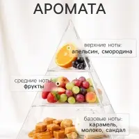 Диффузор ароматический с палочками Nero Orion, 50 мл