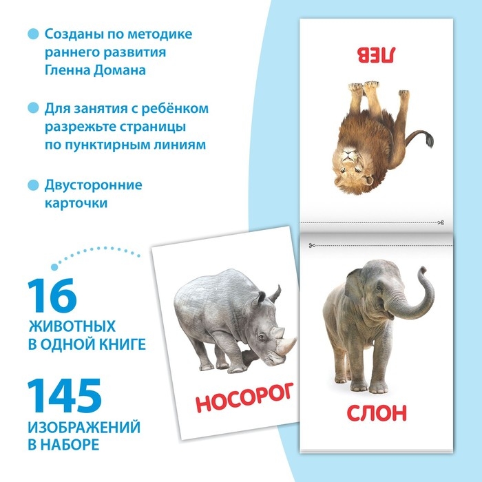 Книги «Карточки Домана на скрепке», набор, 8 шт. по 20 стр. Книги «Карточки Домана на скрепке», набор, 8 шт. по 20 стр.