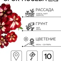 Семена цветов Петуния грандифлора &laquo;Кан кан бургунди&raquo; 10 шт.