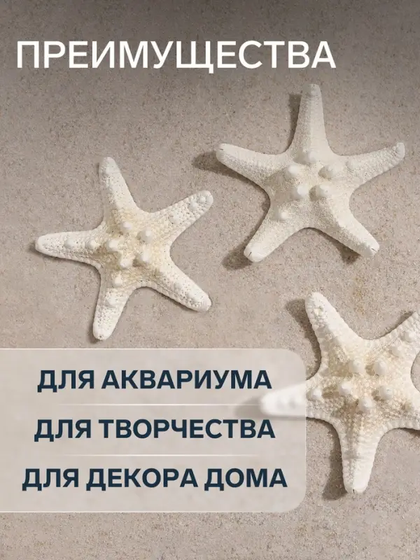 Набор из 3 морских звезд, размер каждой 5-10 см, белые