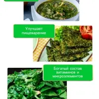 Семена Щавель "Широколистный", 1 г