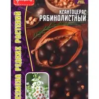 Семена Ксантоцерас &laquo;Рябинолистный&raquo;, &laquo;Чекалкин орех&raquo;, 2 шт., &laquo;Григорьев&raquo;