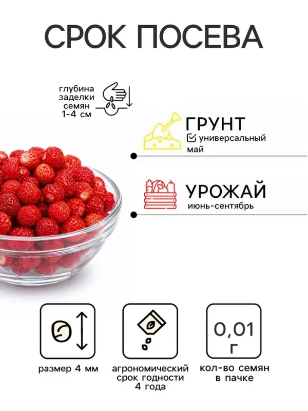 Семена Земляника ремонтантная &laquo;Сан Андреас&raquo;, 0.01 г, &laquo;Престиж семена&raquo;