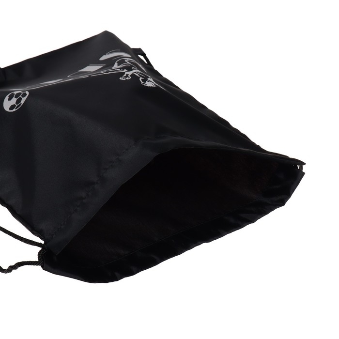 Мешок для обуви 420 х 340 мм, Calligrata SPORT, (мягкий полиэстер, плотность 210D), чёрный МИКС Мешок для обуви 420 х 340 мм, Calligrata SPORT, (мягкий полиэстер, плотность 210D), чёрный МИКС