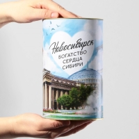 Копилка XXL «Новосибирск», 20 х 12,5 см