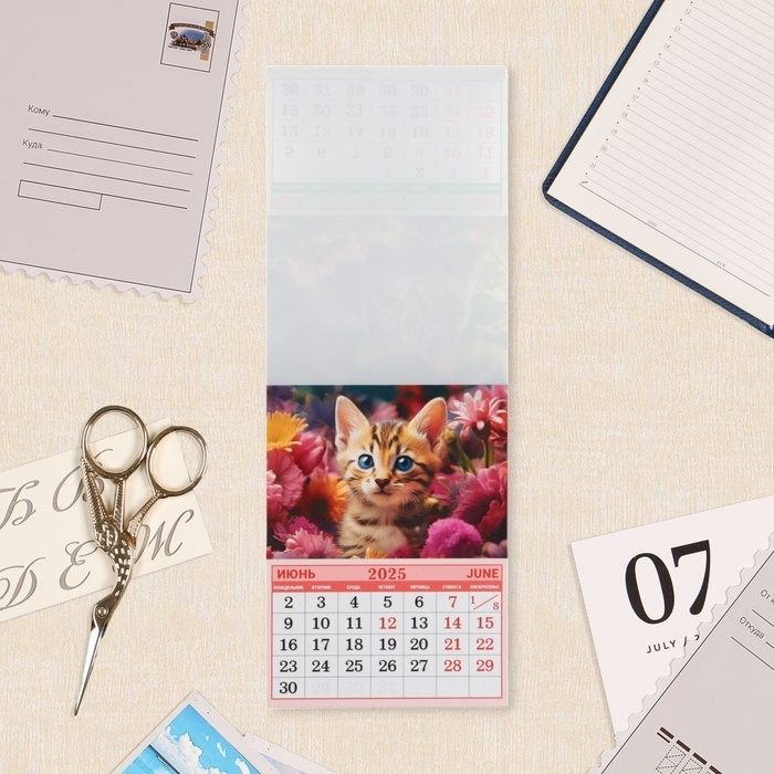Календарь отрывной на магните Календарь отрывной на магните "Милые кошки" 2025 год, 9,5 х 13 см