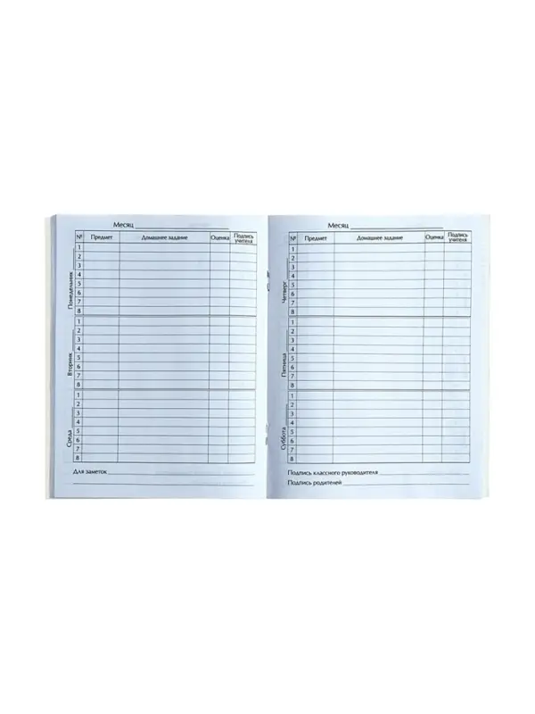 Дневник школьный для 5-11 классов &laquo;Мотоциклист&raquo;, мягкая обложка, 48 листов