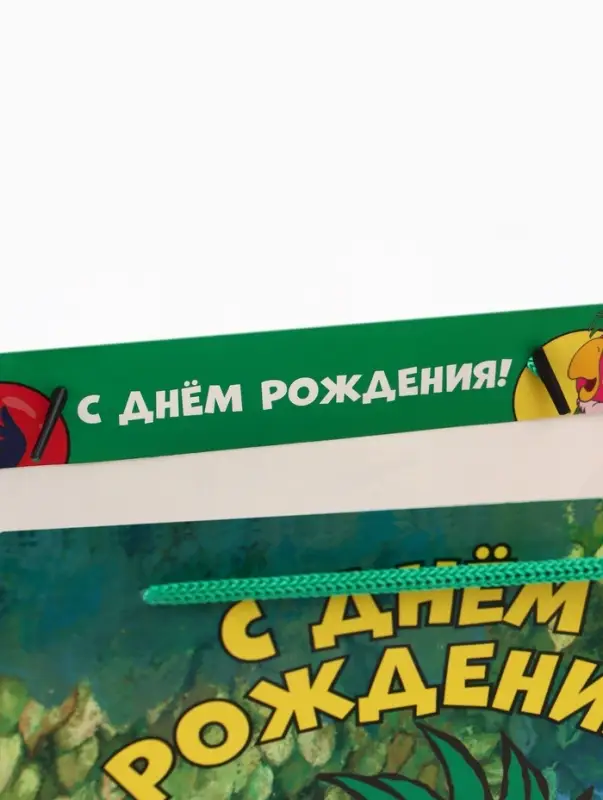 Пакет подарочный &laquo;С днём рождения&raquo;, 31&times;40&times;11.5 см, упаковка, Попугай Кеша