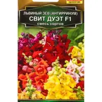 Семена цветов Львиный зев Свит дуэт F1, смесь сортов С. Floranova Золотая серия, Ц/П,7 шт. Семена цветов Львиный зев Свит дуэт F1, смесь сортов С. Floranova Золотая серия, Ц/П,7 шт.