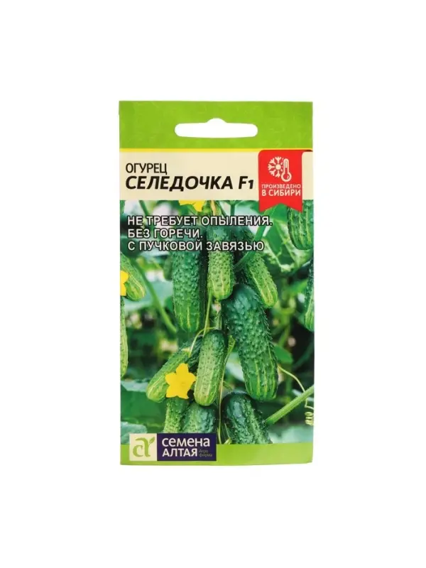 Семена Огурец &laquo;Селедочка&raquo;, F1, 5 шт., &laquo;Семена Алтая&raquo;