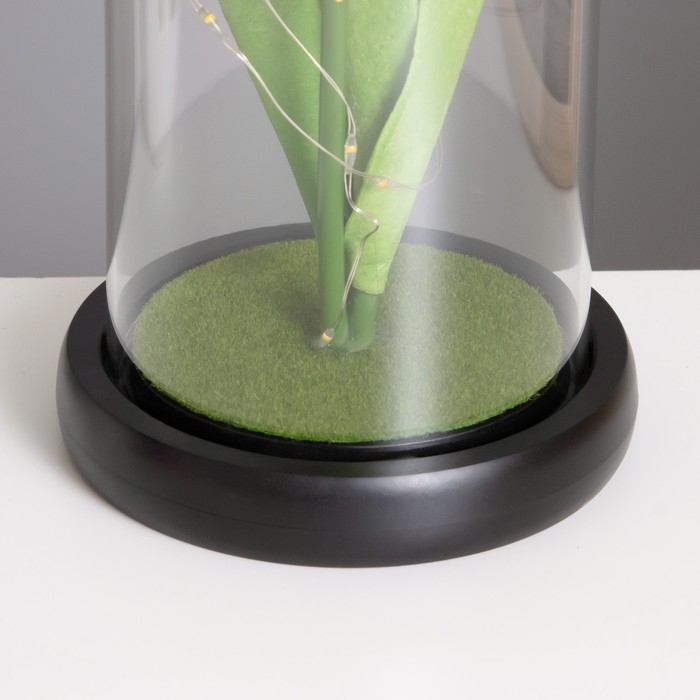 Ночник колба «Тюльпаны» LED 3хААА зеленый 10,5х10,5х22см