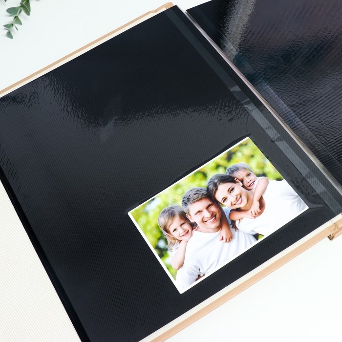 Фотоальбом магнитный 20 листов Фотоальбом магнитный 20 листов "Пёрышки и круги" в коробке 34х4х33 см