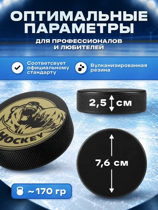 Шайба хоккейная Winter Star, взрослая, d=7.6 см