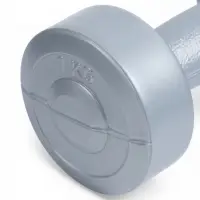 Гантели виниловые, 2 шт., 1 кг, серебристый металлик