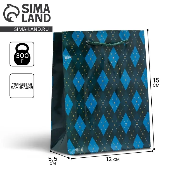 Пакет подарочный ламинированный, упаковка, «Клетка», S 12 х 15 х 5.5 см Пакет подарочный ламинированный, упаковка, «Клетка», S 12 х 15 х 5.5 см