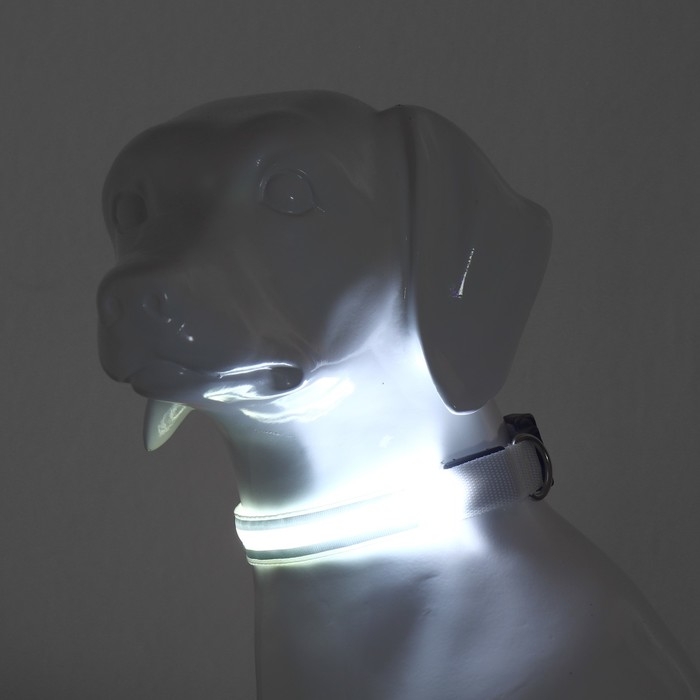 Ошейник с подсветкой Двойная полоса размер XL, ОШ 52-60 х 2,5 см, 3 режима свечения белый Ошейник с подсветкой Двойная полоса размер XL, ОШ 52-60 х 2,5 см, 3 режима свечения белый