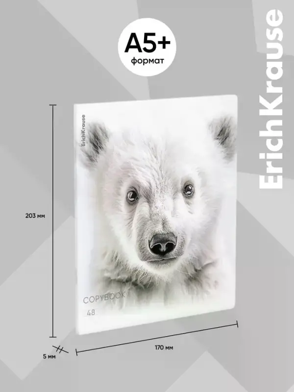 Тетрадь 48 листов в клетку ErichKrause Whiteout, 60 г/м&sup2;, обложка мелованный картон, МИКС