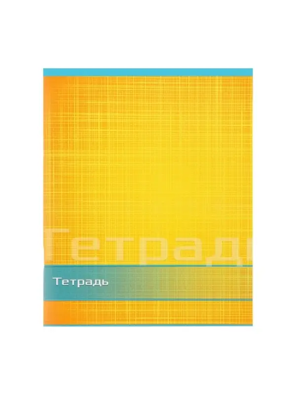 Тетрадь 48 листов в линейку Calligrata «Цвет и графика», обложка мелованная бумага, блок №2, белизна 75% (серые листы), МИКС