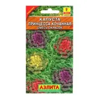 Набор семян Капуста декоративная "Принцесса", смесь окрасок, О, 5 шт.