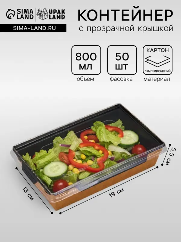 Салатник одноразовый, контейнер с плоской прозрачной крышкой, чёрный, 0.8 л, 19&times;13&times;5.5 см