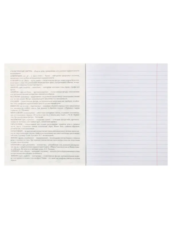 Предметная тетрадь по литературе Calligrata TOP. BlackTone, 48 листов, в линейку, со справочным материалом, обложка из мелованного картона