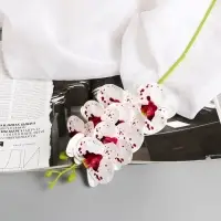 Цветы искусственные &laquo;Орхидея экстра галант&raquo;, h=60 см, d=8 см, бело-сиреневые