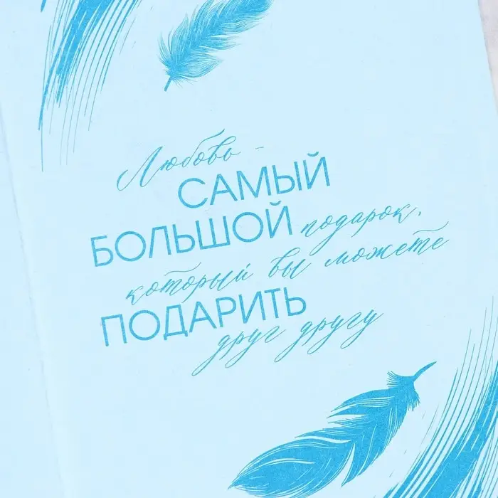 Приглашение на свадьбу: с конвертом «Нежность», 10 х 15 см. Приглашение на свадьбу: с конвертом «Нежность», 10 х 15 см.