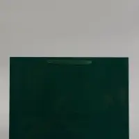 Пакет подарочный ламинированный горизонтальный &laquo;Изумрудный&raquo;, L 40&times;31&times;11.5 см