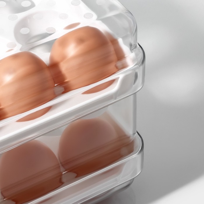 Контейнер для хранения яиц Доляна, 40 ячеек, 27×22×16 см, цвет белый Контейнер для хранения яиц Доляна, 40 ячеек, 27×22×16 см, цвет белый