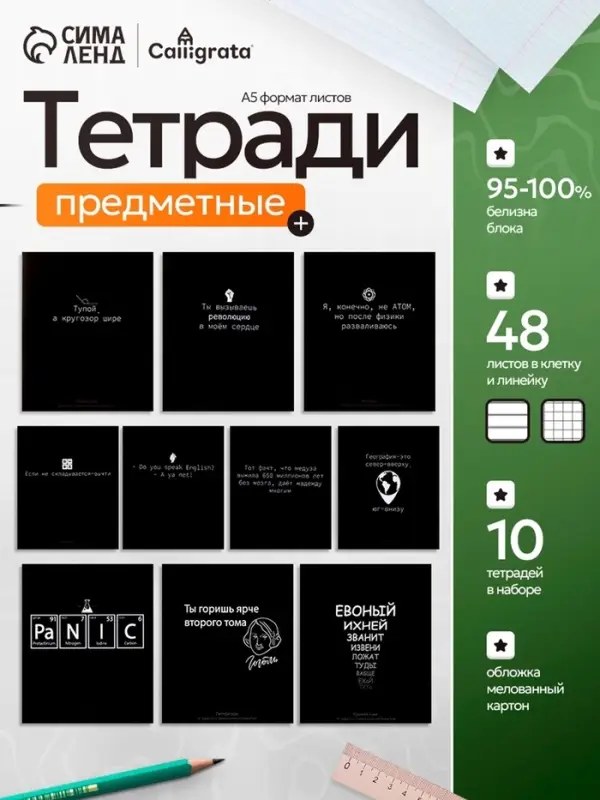 Тетради предметные &laquo;На чёрном&raquo;, 10 предметов, 48 листов, со справочным материалом, обложка из мелованного картона
