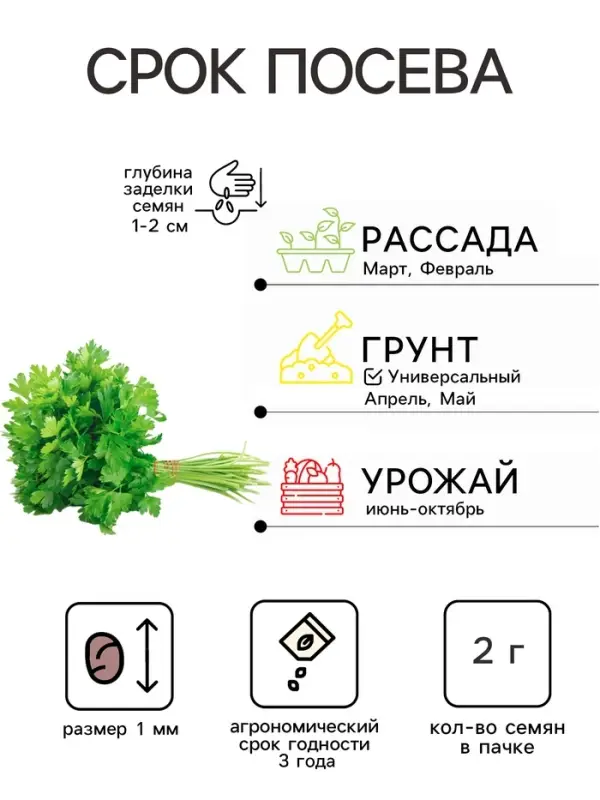 Семена Петрушка кудрявая &laquo;Бабушкина грядка&raquo;, 2 г, &laquo;Аэлита&raquo;