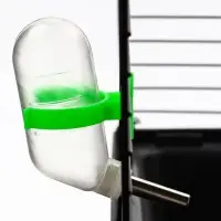 Поилка для грызунов, 60 мл, 12&times;4 см, с металлическим носиком, прозрачная, зелёное крепление