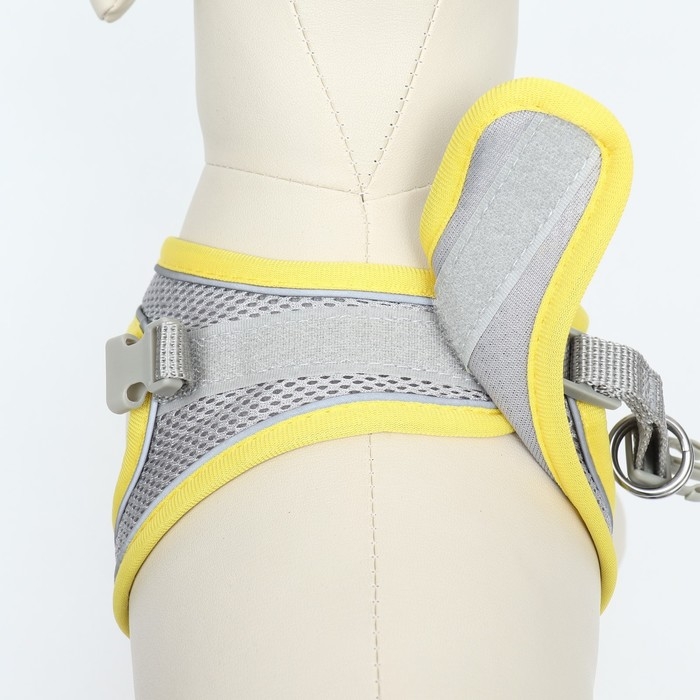 Комплект с мягкой шлейкой, быстросъемный, M, поводок 150 х 1,5 см, ОШ 38-44 см, ОГ 44-50 см, жёлтый Комплект с мягкой шлейкой, быстросъемный, M, поводок 150 х 1,5 см, ОШ 38-44 см, ОГ 44-50 см, жёлтый