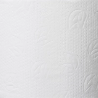 Бумага туалетная д/дисп Protissue 2сл белая цел 215м 6рул/уп_С352