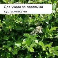 Секатор плоскостной, 9" (23 см), с пластиковыми ручками, МИКС, Greengo