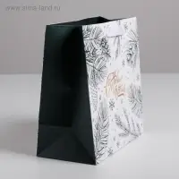 Пакет подарочный ламинированный квадратный «Еловые шишки», 22×22×11 см Пакет подарочный ламинированный квадратный «Еловые шишки», 22×22×11 см