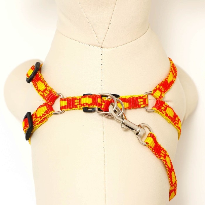 Комплект Комплект "Большая лапа", ширина 1 см, поводок 120 см, шлейка 25-36 см, оранжево-жёлтый