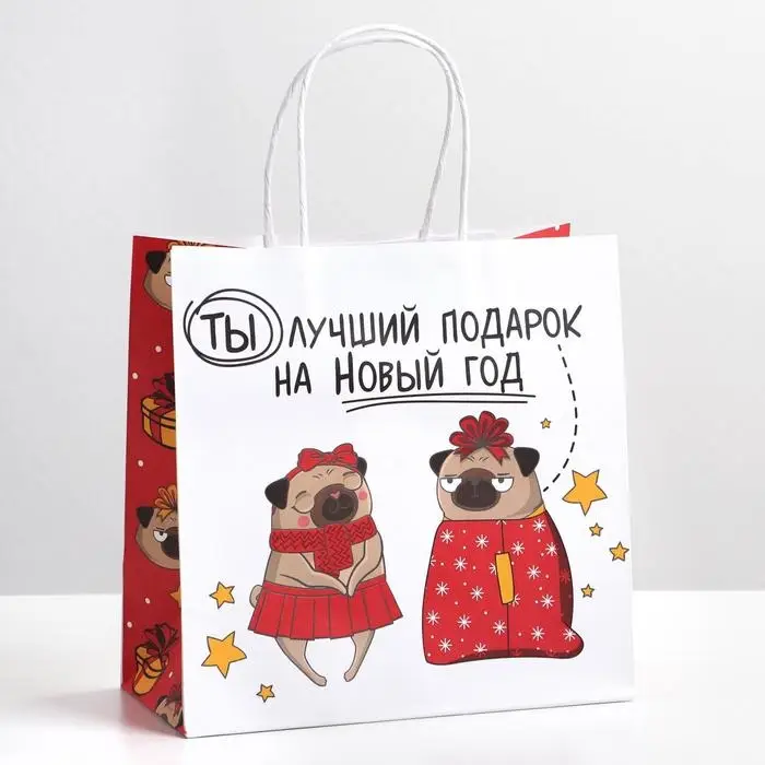 Пакет подарочный новогодний «Ты - лучший подарок», 22 х 22 х 11 см