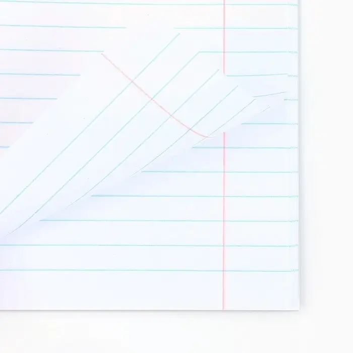 Тетрадь в линейку, предметная, 48 л.,на скрепке, А5 &laquo;Аниме Комикс. Русский язык&raquo;