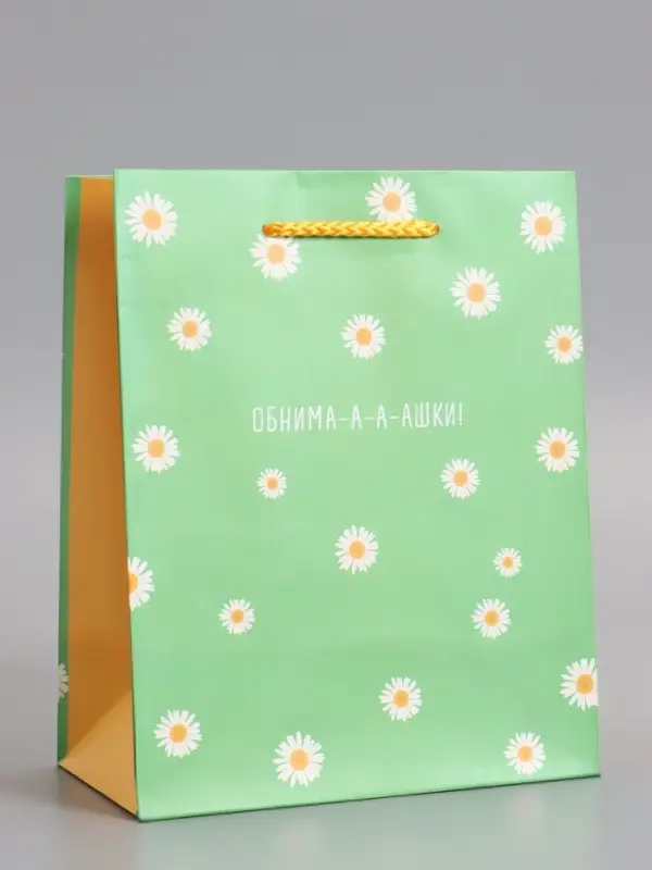 Пакет подарочный ламинированный &laquo;Ромашки - обнимашки&raquo;, 18&times;22.3&times;10 см