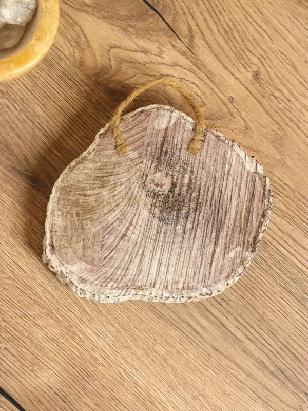 Панно «Кактус», 17×18×5 см, дерево Албезия Панно «Кактус», 17×18×5 см, дерево Албезия